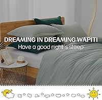 Vista 6 de Dreaming Wapiti - Juego de funda de edredón de microfibra lavada, color liso, suave y transpirable con cierre de cremallera y amarre de esquina Verde