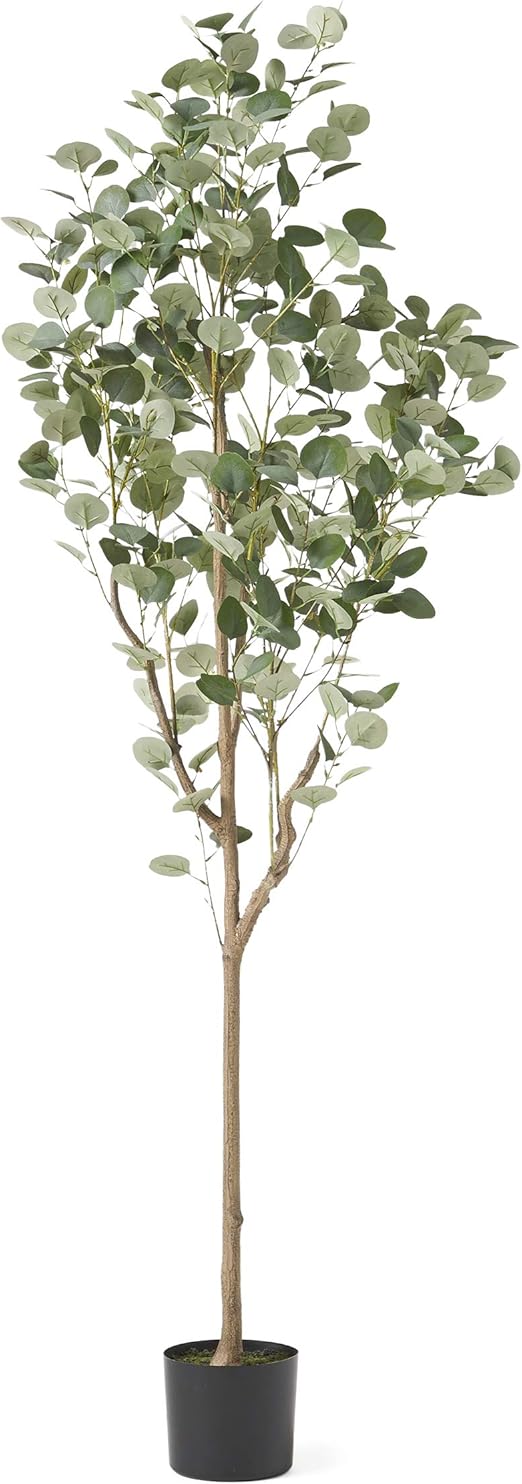 Christopher Knight Home Artificial Plants, 6 ft x 2.5 ft, Green + Black Home & Kitchen