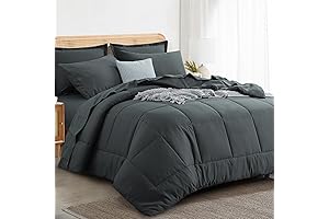 RUIKASI Queen Size Bed in a Bag Comforter Sets with Sheets