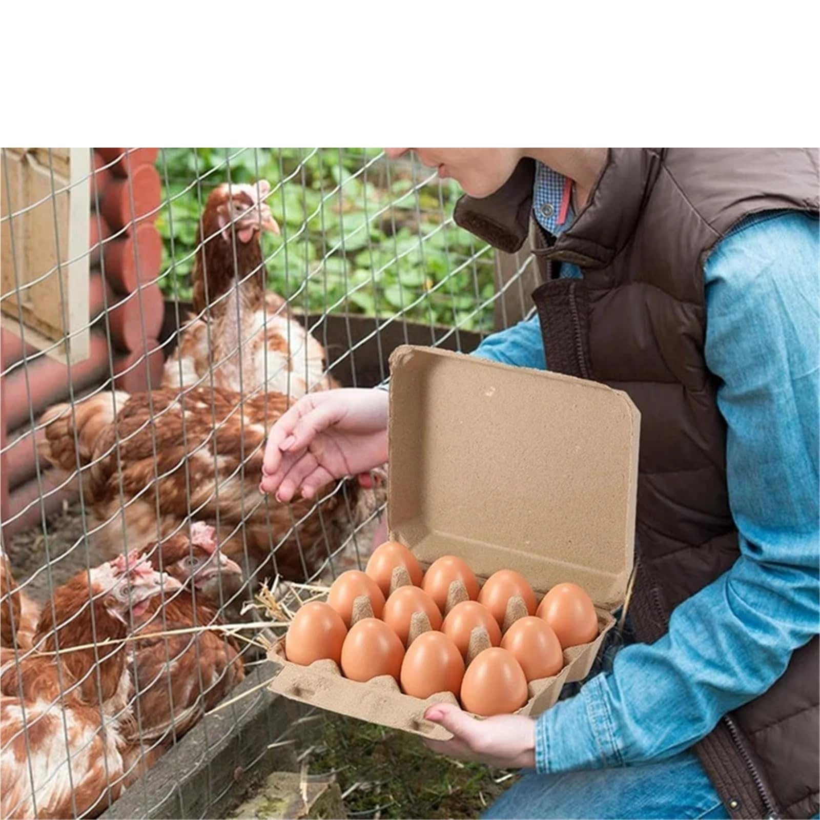 Paquete de 20 cartones de huevos cuadrados de pulpa de papel Y17A | Bandejas for huevos vacías, con capacidad for 12 huevos cada una, material de papel reciclable.