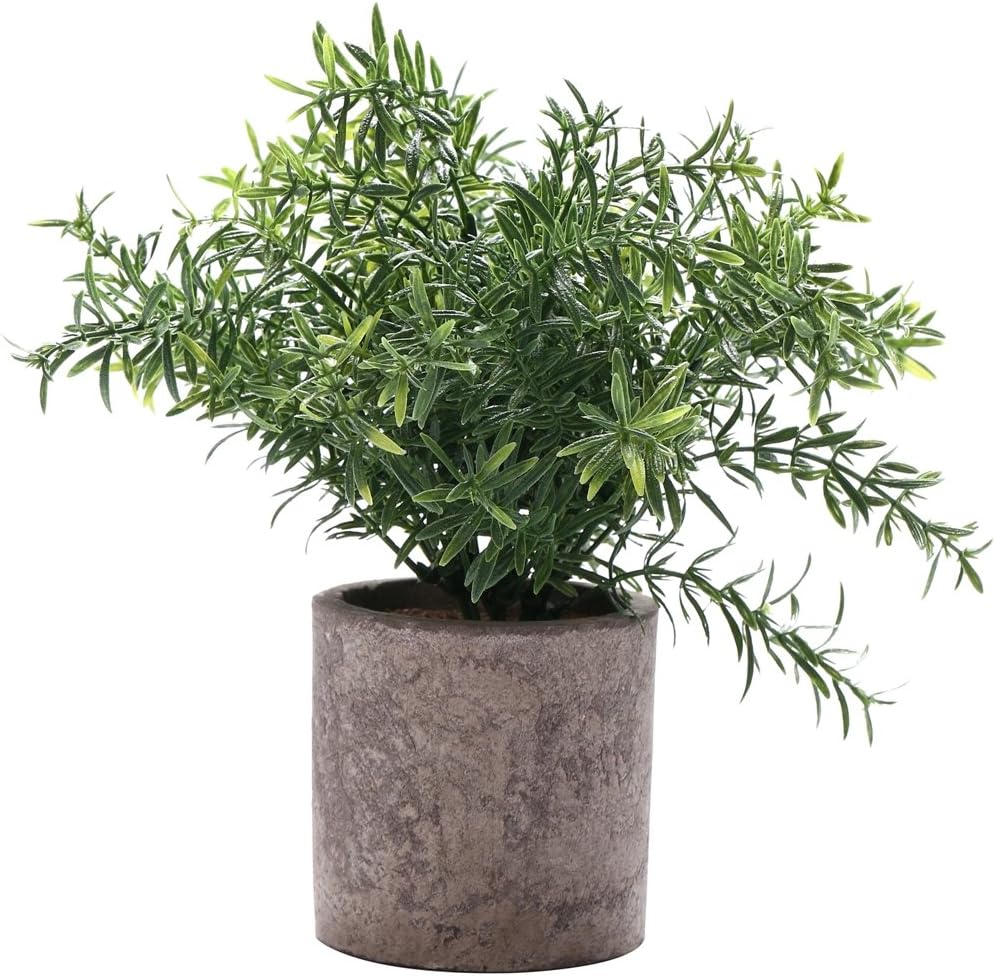 Artificial Plant Potted Mini Fake Plant Decorative Lifelike Flower Green Plants - 1101 (Round pot, Green) …