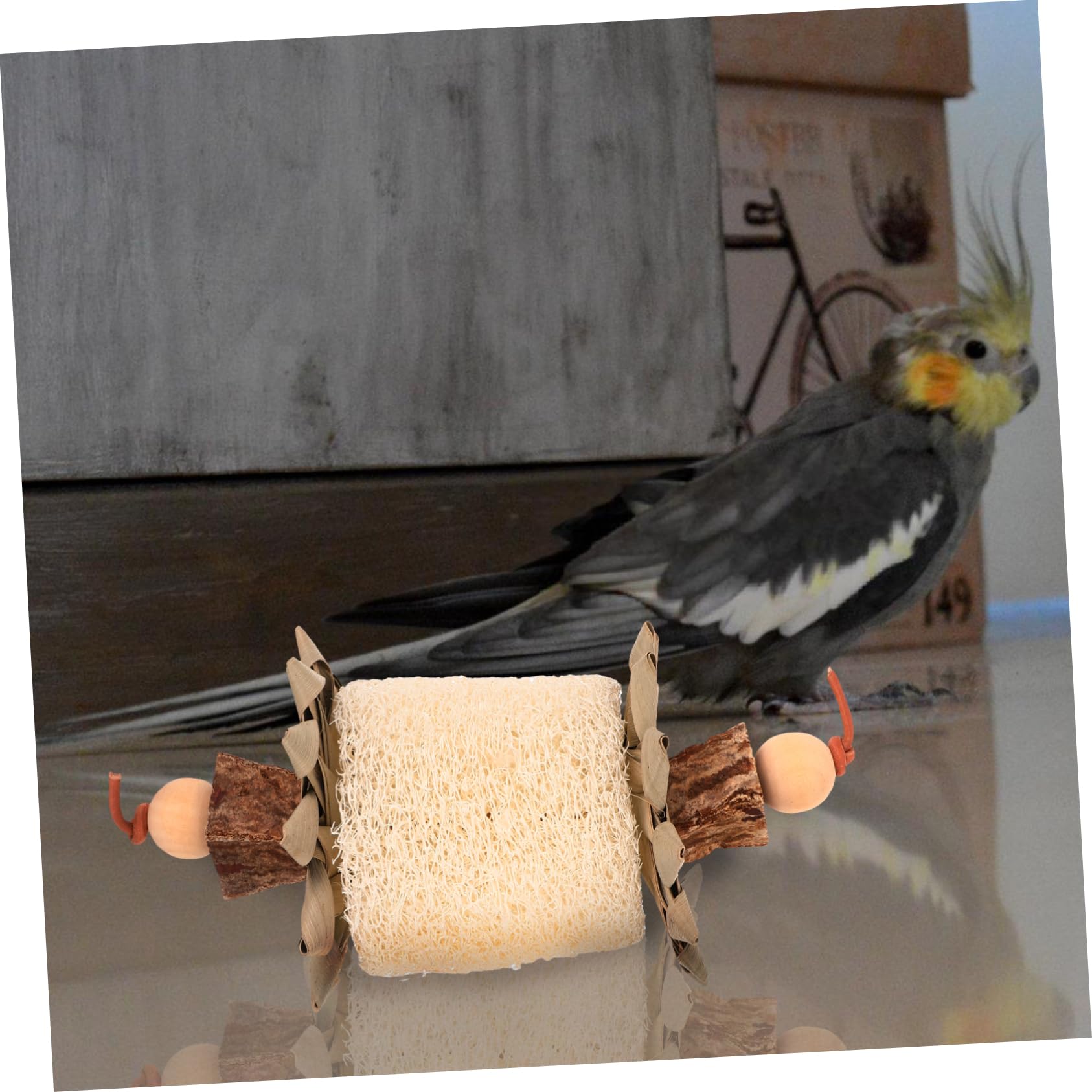 Jouet à Mâcher pour Oiseaux avec Loofah Suspendu Accessoire De pour Perroquets Et Oiseaux pour Divertissant Et