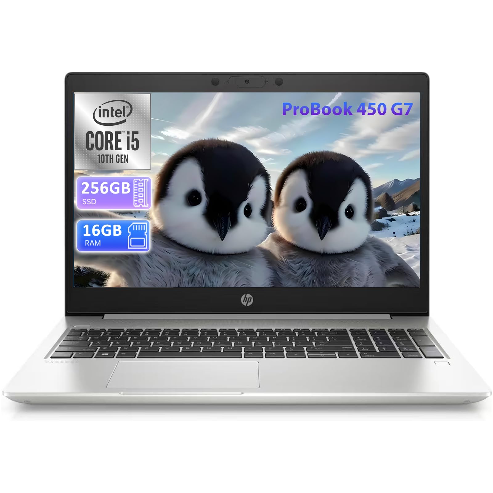 Amazon.com: HP ProBook 450 G7 Laptop, 15.6