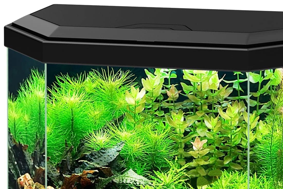 Acuario Aqua 30 Led Negro