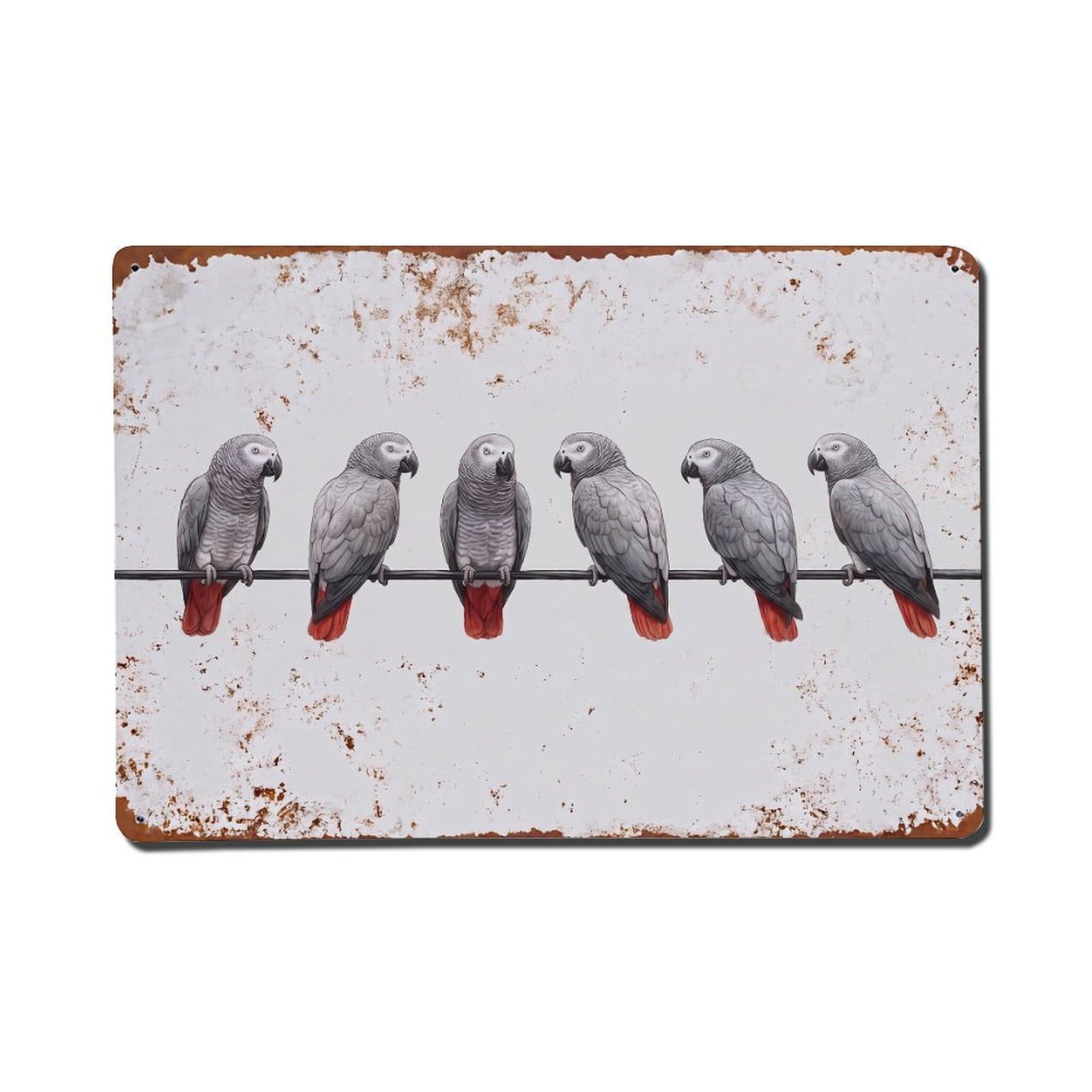 Vintage Retro Birds African Grey Parrot Metal Tin Sign