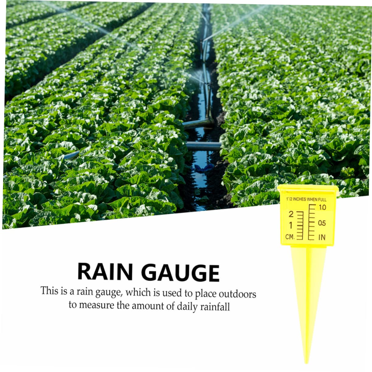 Kisangel 20 Pièces jauge d'arrosage pluviomètre Jardinage Jauge de pluviométrie pour Le Jardin gaie Mesure des précipitations Tasse à mesurer Les précipitations Tasse à mesurer en Plastique