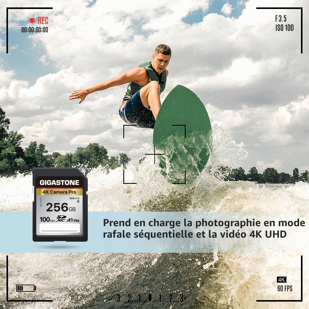 Gigastone Carte Mémoire SDXC 256 Go, 4K Pro Série, Vitesse de Transfert allant jusqu'à 100 Mo/s. Compatible avec Caméra Canon Nikon Sony Caméscope, A1 V30 UHS-I Classe 10 pour 4K UHD Vidéo