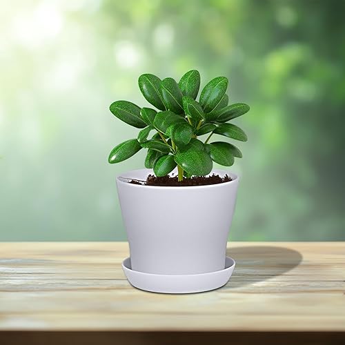 Miniatura 6 de JERIA - Paquete de 16 macetas de plástico de 4 pulgadas, para plantas de plántulas gruesas, macetas para plantas de flores, macetas con bandeja