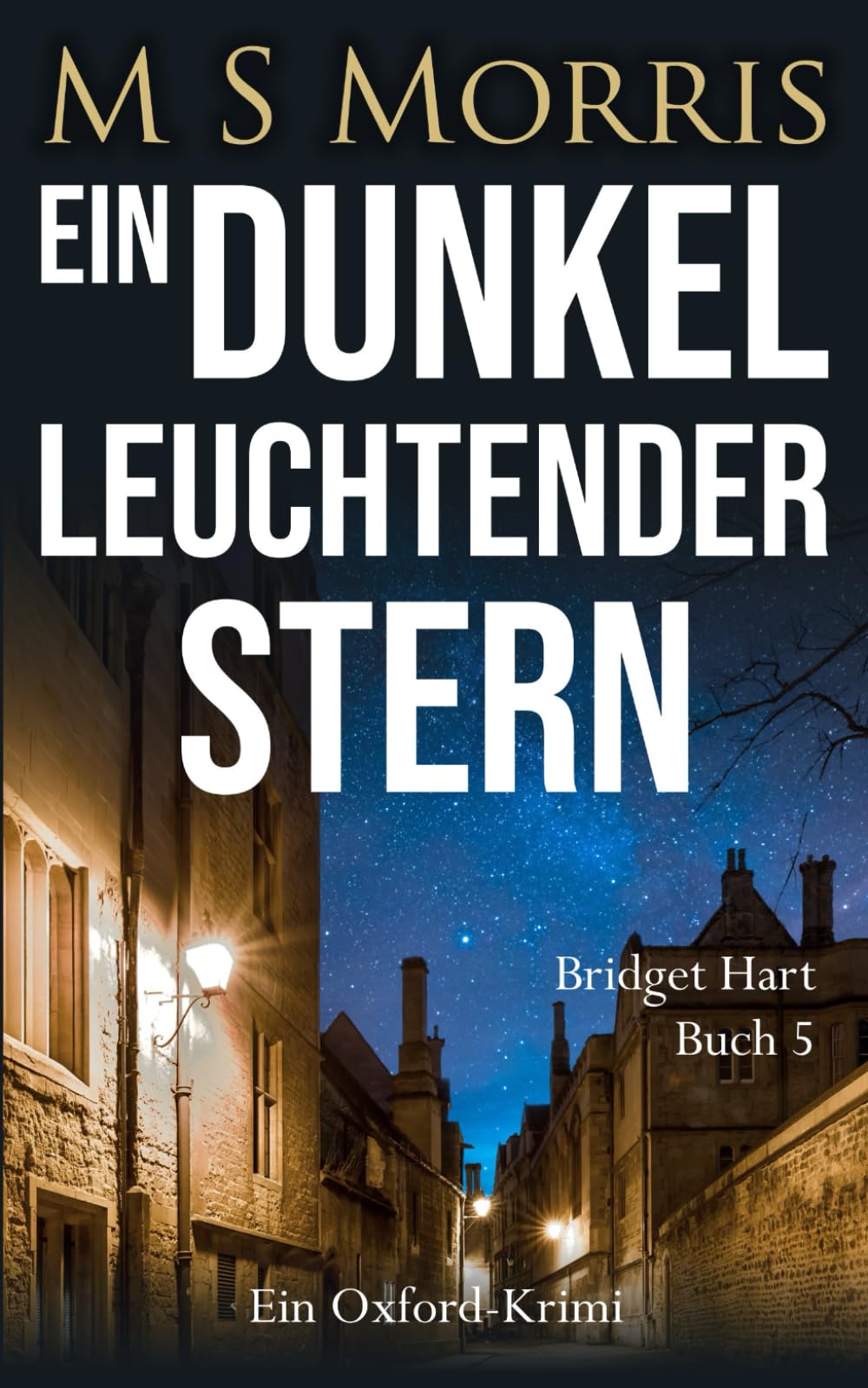 Ein dunkel leuchtender Stern: Ein Oxford-Krimi: 5 (Die Bridget-Hart-Reihe)