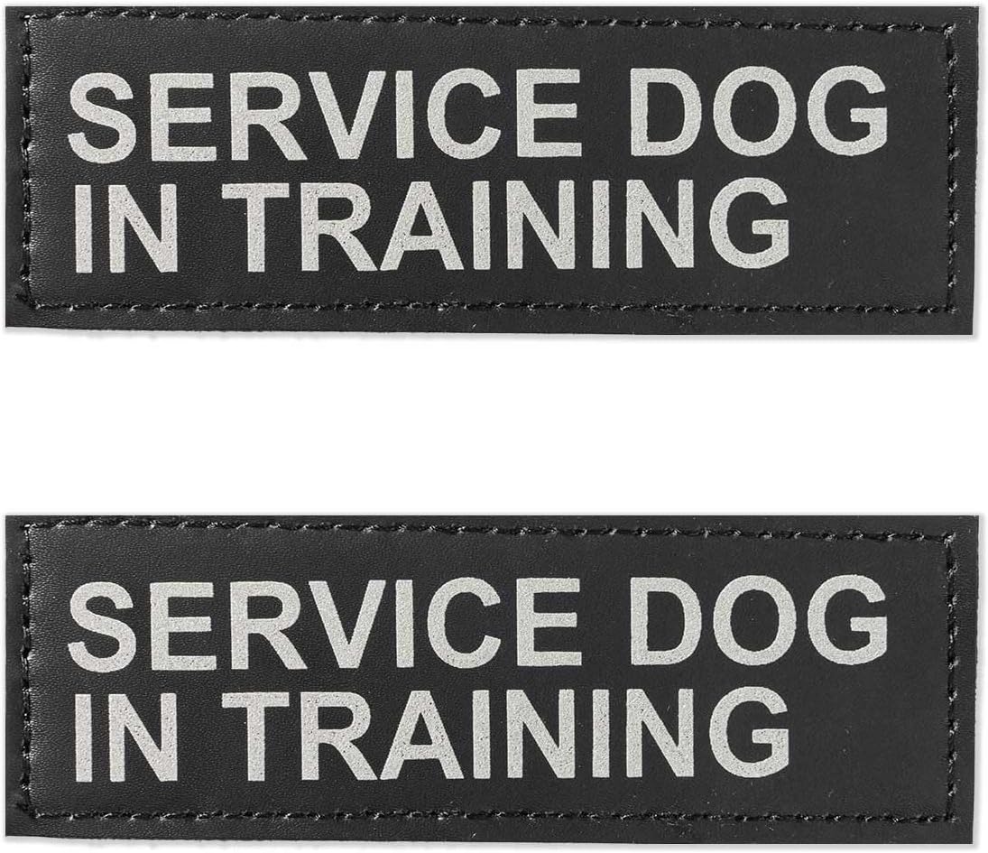 Excellent Elite Spanker 2 Pcs Magic Sticker Morale Patch