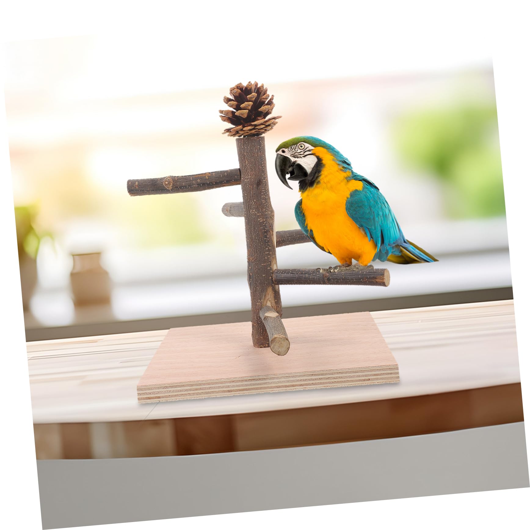 Kisangel 4 Piezas Marco De Entrenamiento De Loros Percha De Pájaro De Escritorio Percha De Pájaro De Mesa Puesto De Mesa para Loros Juguete Decorativo para Loros De Madera