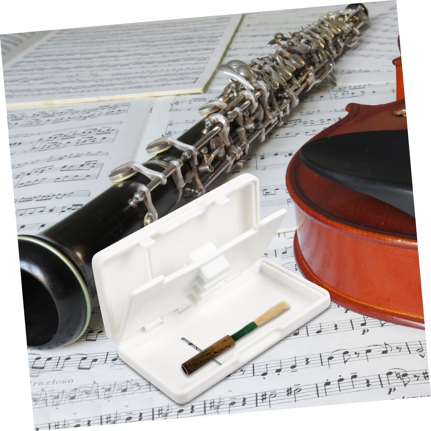 BESTonZON 5 Pz Custodia Per Ance Per Oboe Contenitore in Canna Abs Ancia Per Oboe Porta Ance Per Strumenti Porta Canna Organizzatore Di Ance Per Oboe Strumento Oboe Fischio Bianca Addominali