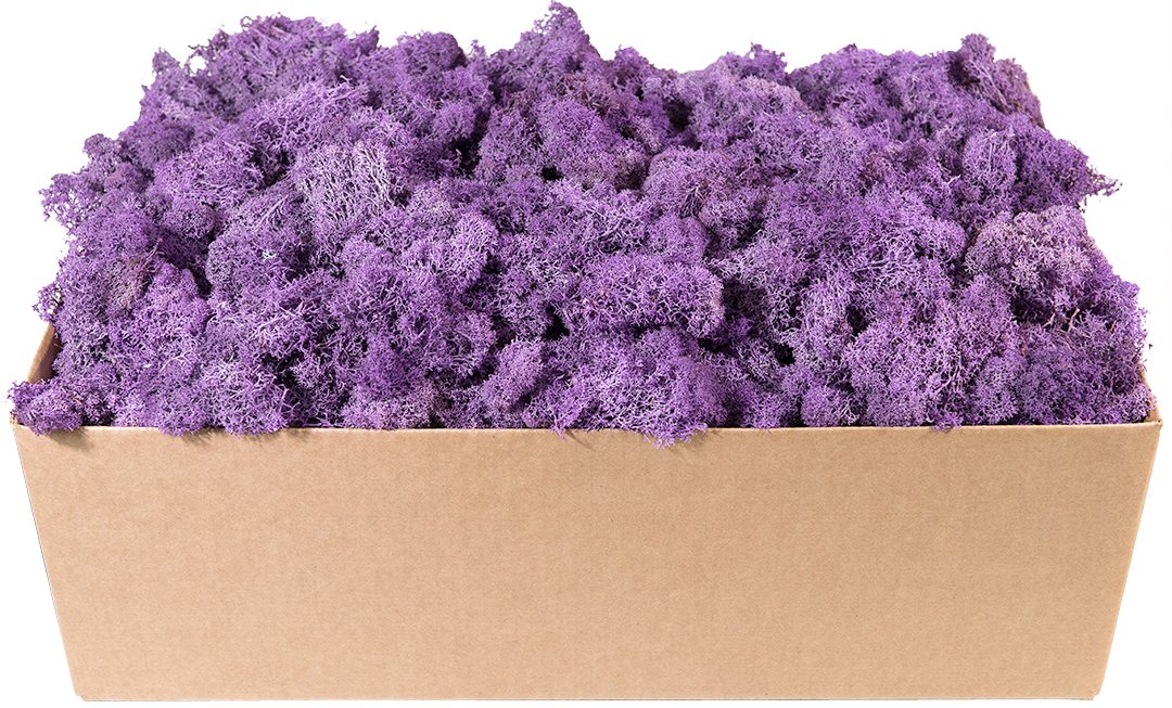 SuperMoss (23244) 10 lb Box Preserved Reindeer Moss, Lavender