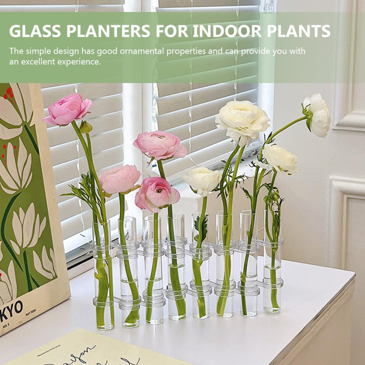 Test Tube Propagation Vase Set, Large Glass Hydroponic Planter for Indoor Plants, Wall Garden Succulent Terrarium Decor, 8pcs with Cleaning Brush for Home Gardening