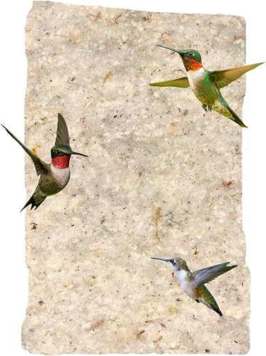JCS Wildlife Hummingbird Nesting Material Refill, Soft Cotton Fibers for Wild Bird Nest Building, Goldfinches Titmice, Fits Deluxe Hummingbird Nester, Natural Bird Nesting Cotton