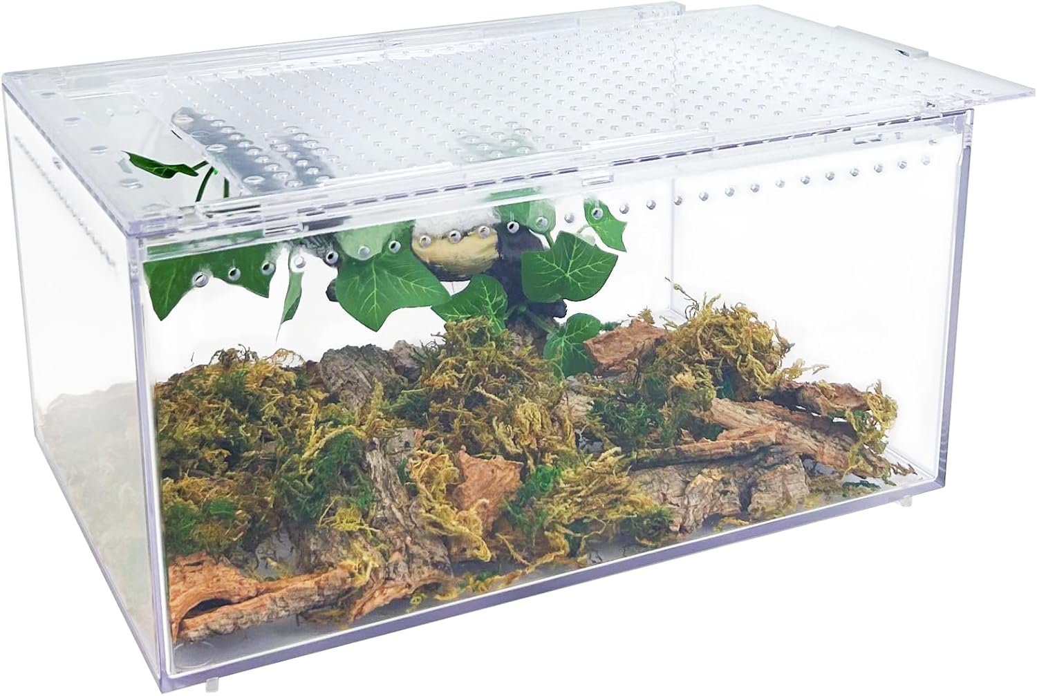 Reptile Terrarium Enclosure 12″X 8″X 6″ Acrylic Tarantula Breeding Box Magnetic Hermit Crab Habitat Tank Transparent Jumping Spider Cage for Insect Snail Amphibians Sling Isopods (2.5 Gallon)