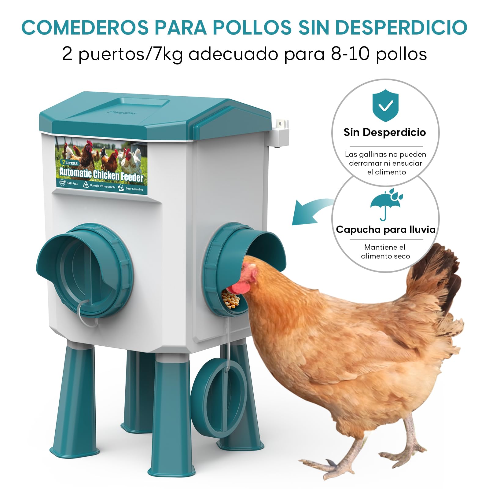 CHAMUTY - Alimentador de gallinas (7 litros, con pies), flotador filtrado, manguera de acero inoxidable de 1,5 m, bebedero dispensador de agua y gallina automática, alimentador de gallinas antidañinas