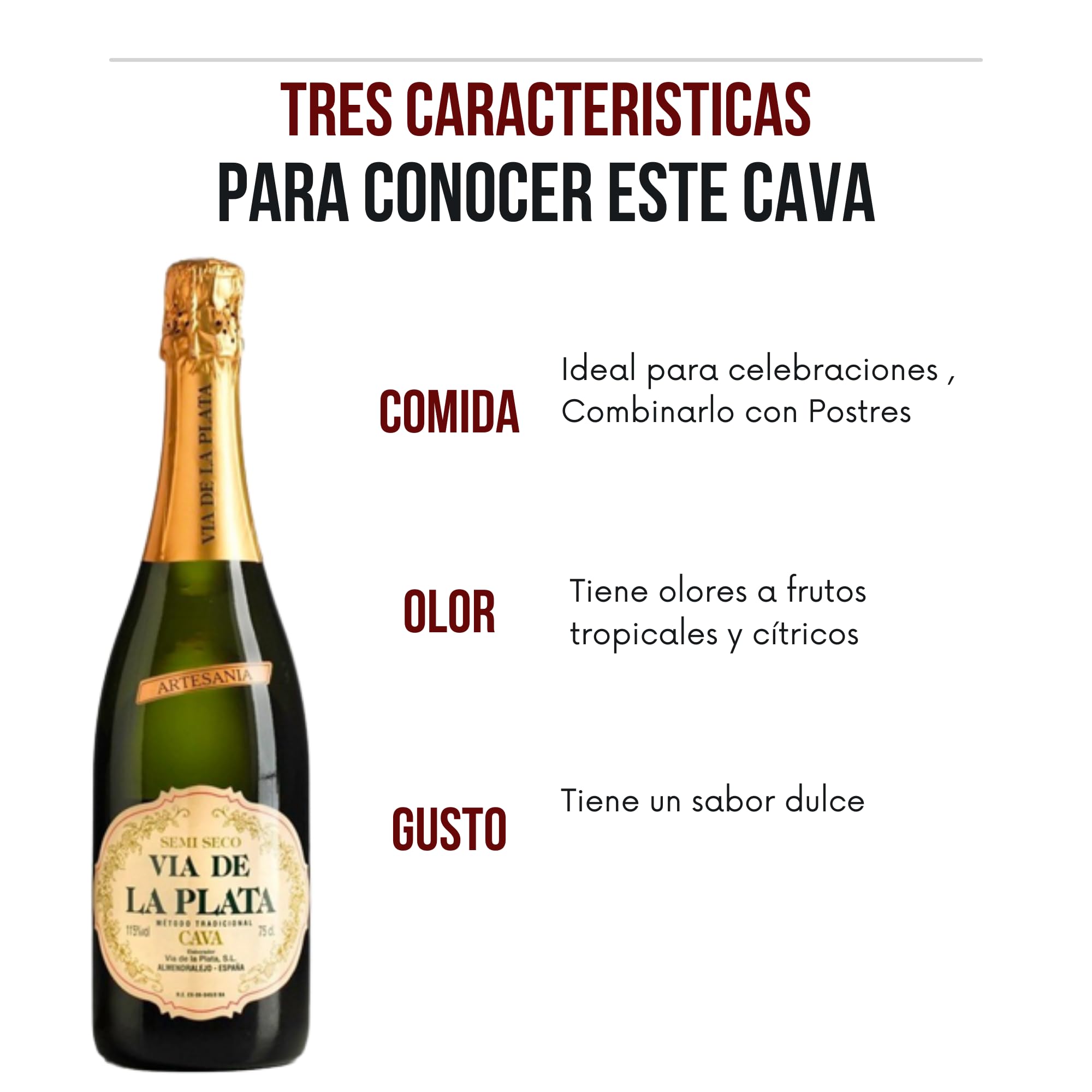 Via de la Plata - Cava Semiseco - Mejor Cava Extremeño - Ideal Combinarlo con Postres y Celebraciones - Pack 6 Botellas 75cl