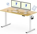 FLEXISPOT Standing Desk with 48 x 24” One-Piece Desktop, Adjustable Height Computer Desk for Home Office (Black Frame+ Black Top, One Package)