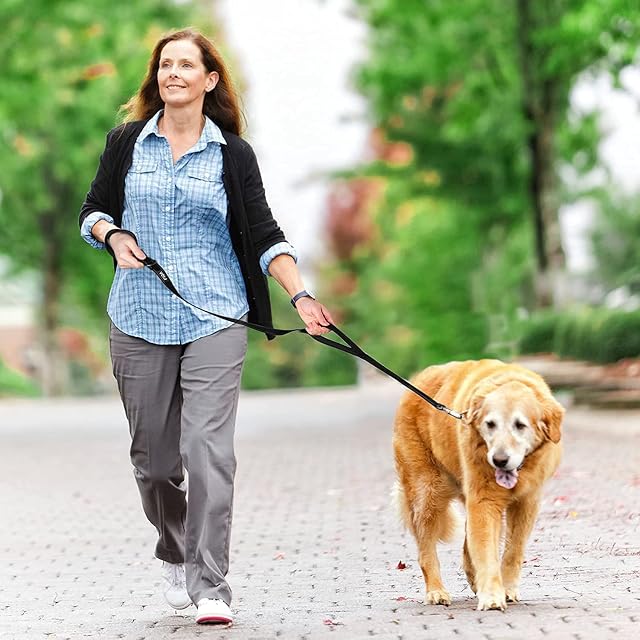 Foto 7 de 7 de Correas para Perros 1.5m Doble Asa Fuerte Correa para Perros Resistente Cuerda de Nylon para Perros Correa…