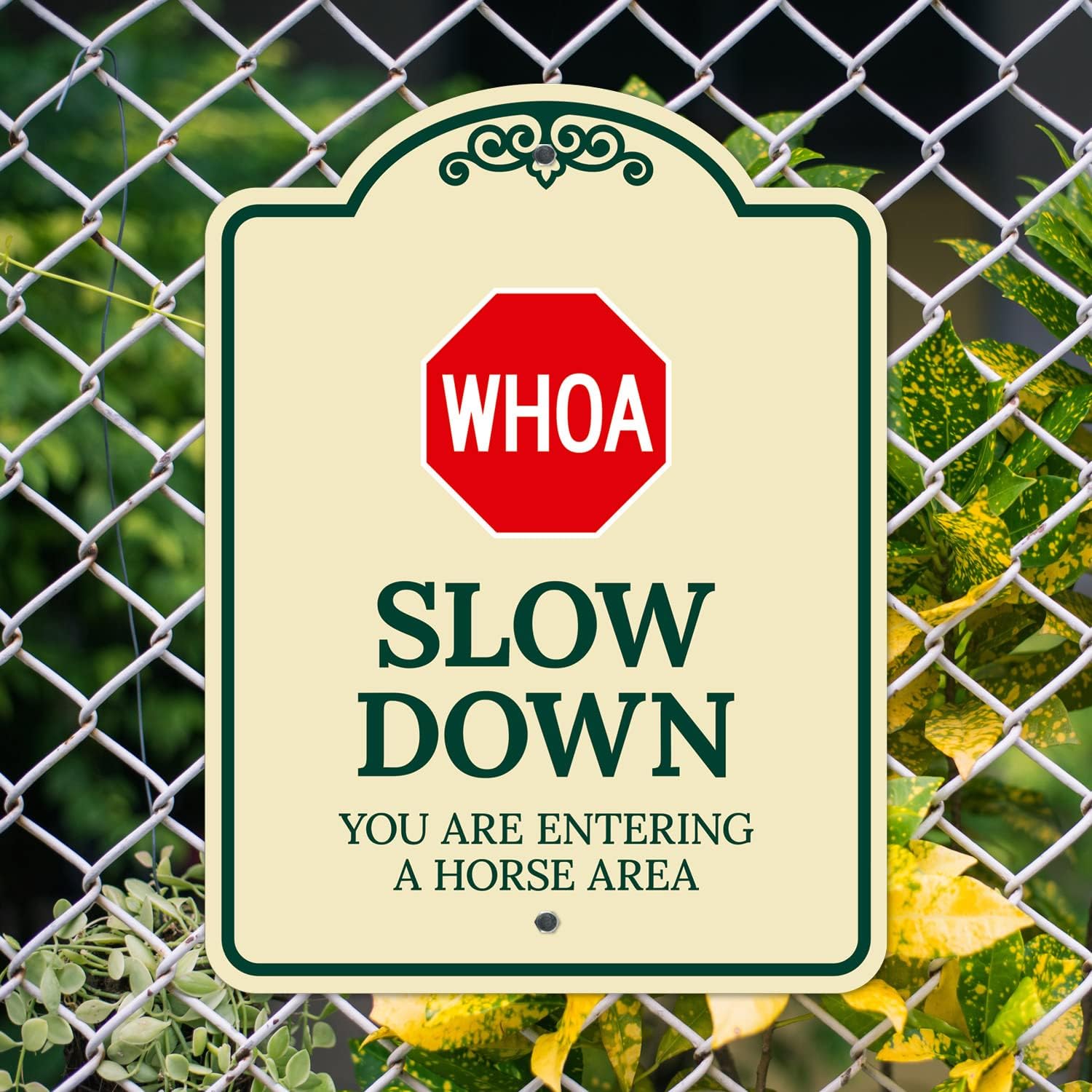 Whoa Slow Down You are Entering A Horse Area Décor Sign, Green Light, 18x24 Inches, ACM, Fade Resistant, Made in USA