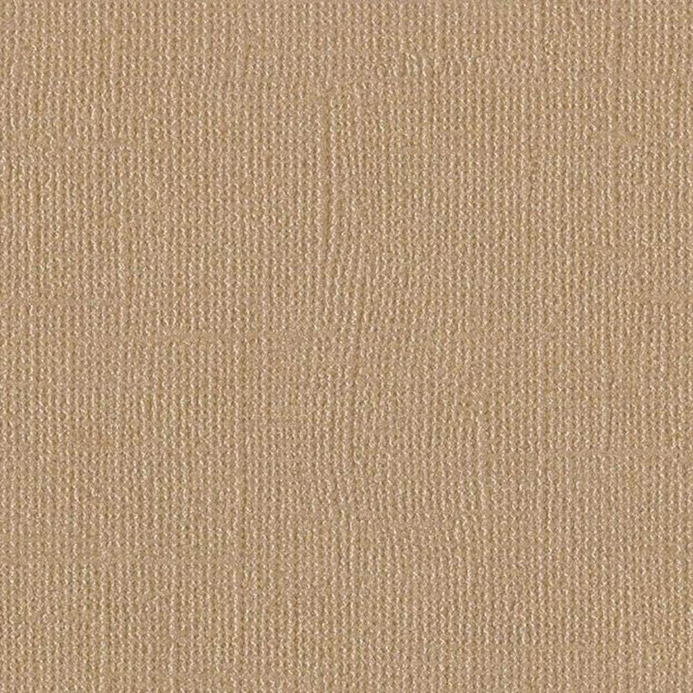 Bazzill Basics BLANK CHECK - 12x12 Cardstock by Bazzill Bling | 80 lb pearlescent Brown Scrapbook Paper | Premium Card Making Cardstock for Paper Crafts | 25 Sheets 25 Pack