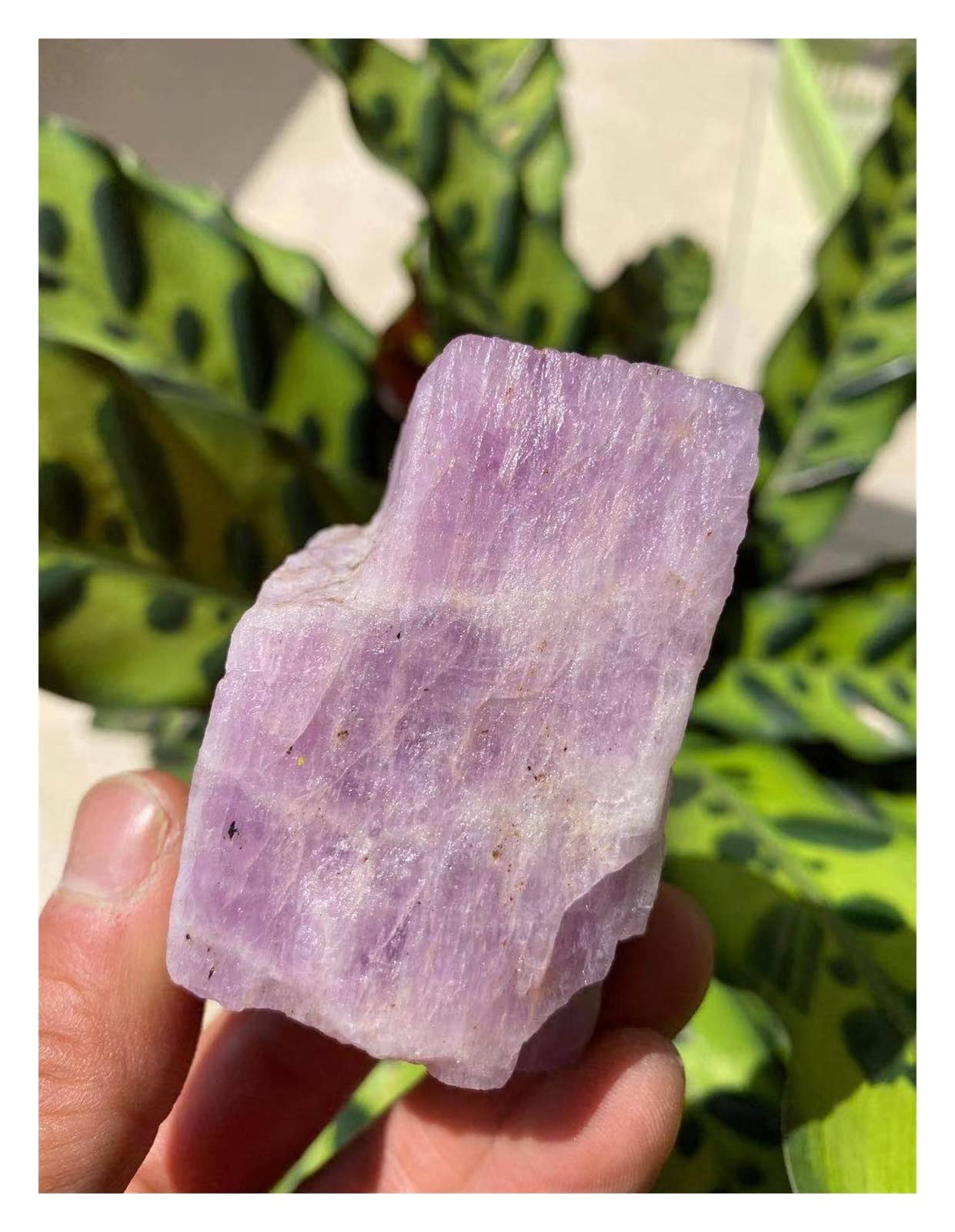 装飾石、水石、原石、盆石、名石、天然石、天然石、模様石、鉱物、装飾 楽天市場】斑点石 ごま石 鉱物 標本 天然石 原石 ヒーリング