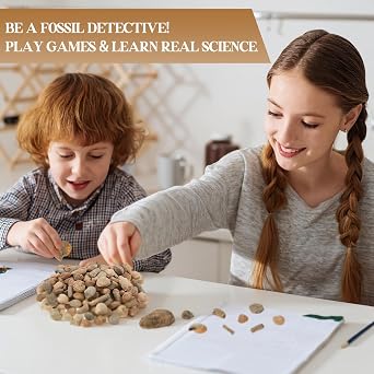 Soulchen Fossil Sorting Kit 3 Lbs Fossil Collection Sorting Activity Kit with Guidebook 9 Different Varieties