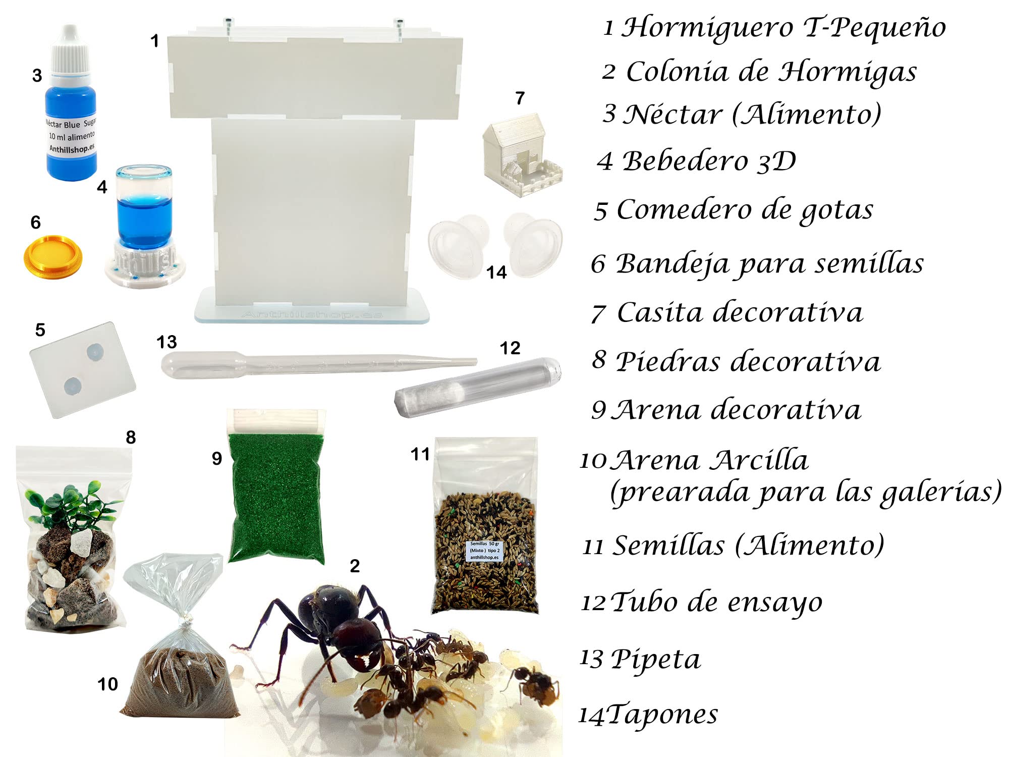 Hormiguero T- Pequeño de Arena Natural (acrílico) - con Hormigas Incluidas┃de 20-30 Hormigas.