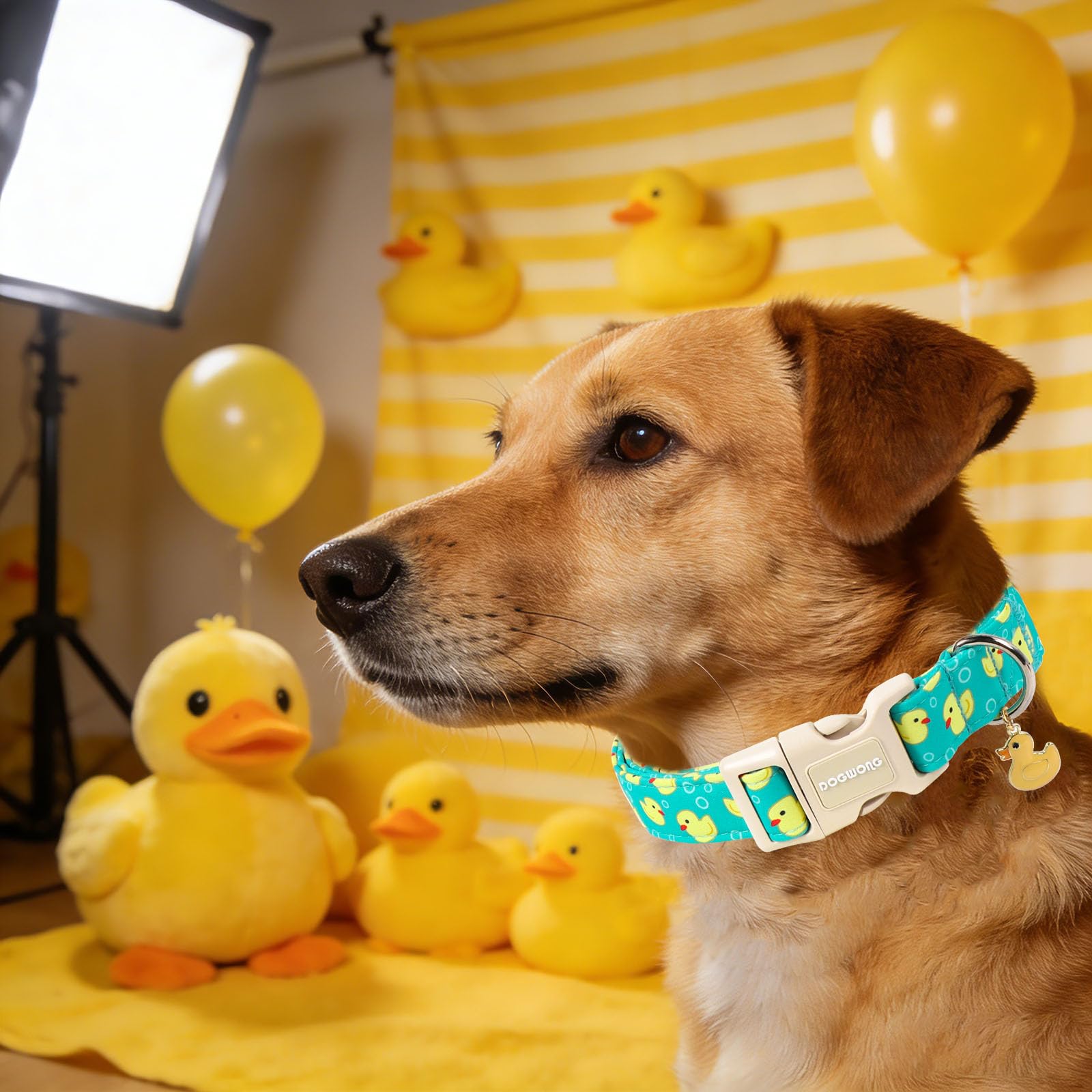 DOGWONG Ducky Pattern Cute Collar, Spring Summer Female Male Collars Pets Gift Adjustable Heavy-Duty Duck Pet Collars for Medium Dogs, Neck 14-21 inches - 4