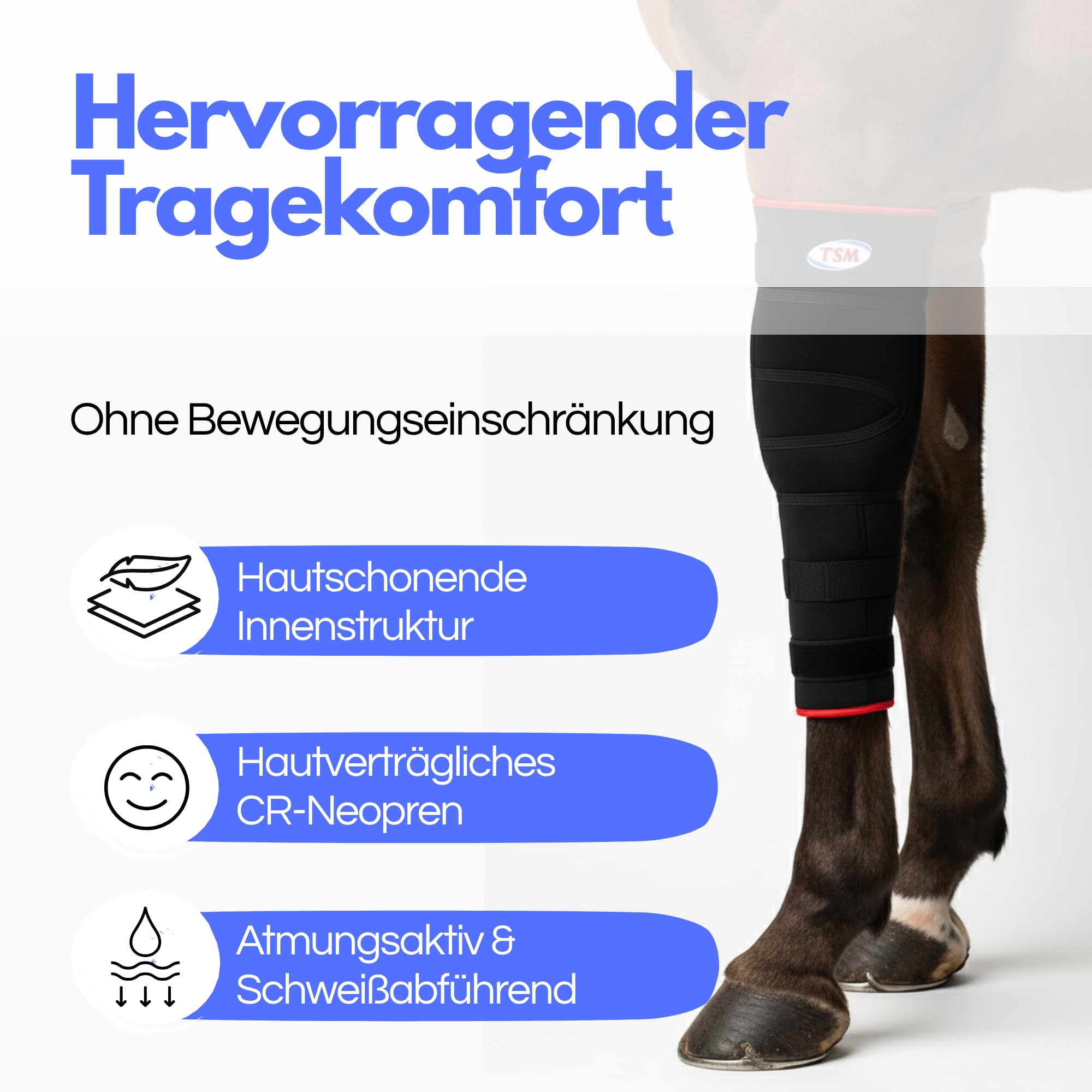 TSM Pferdebandage Vorderfußwurzelgelenk | Reha-Bandage aus Neopren | Schutz & Regeneration bei Arthrose & Entzündungen | Artikelnr 7201 | Made in Germany | Links, Größe S