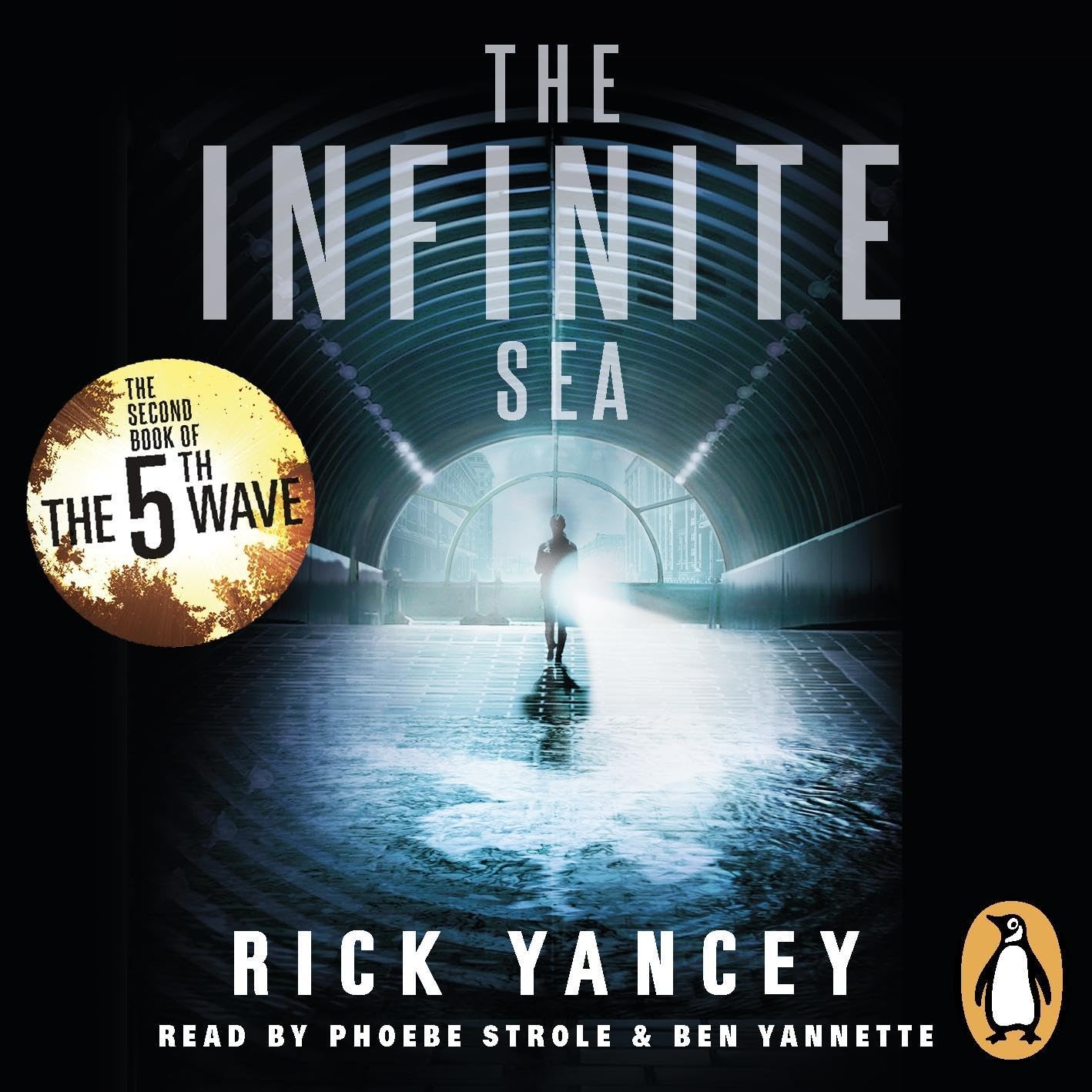 Cover art for The Infinite Sea