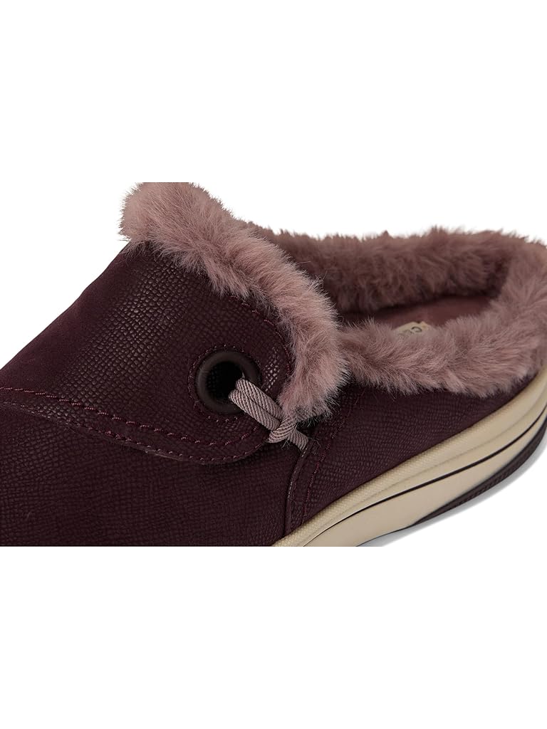 Purple Clarks Breeze Myth
