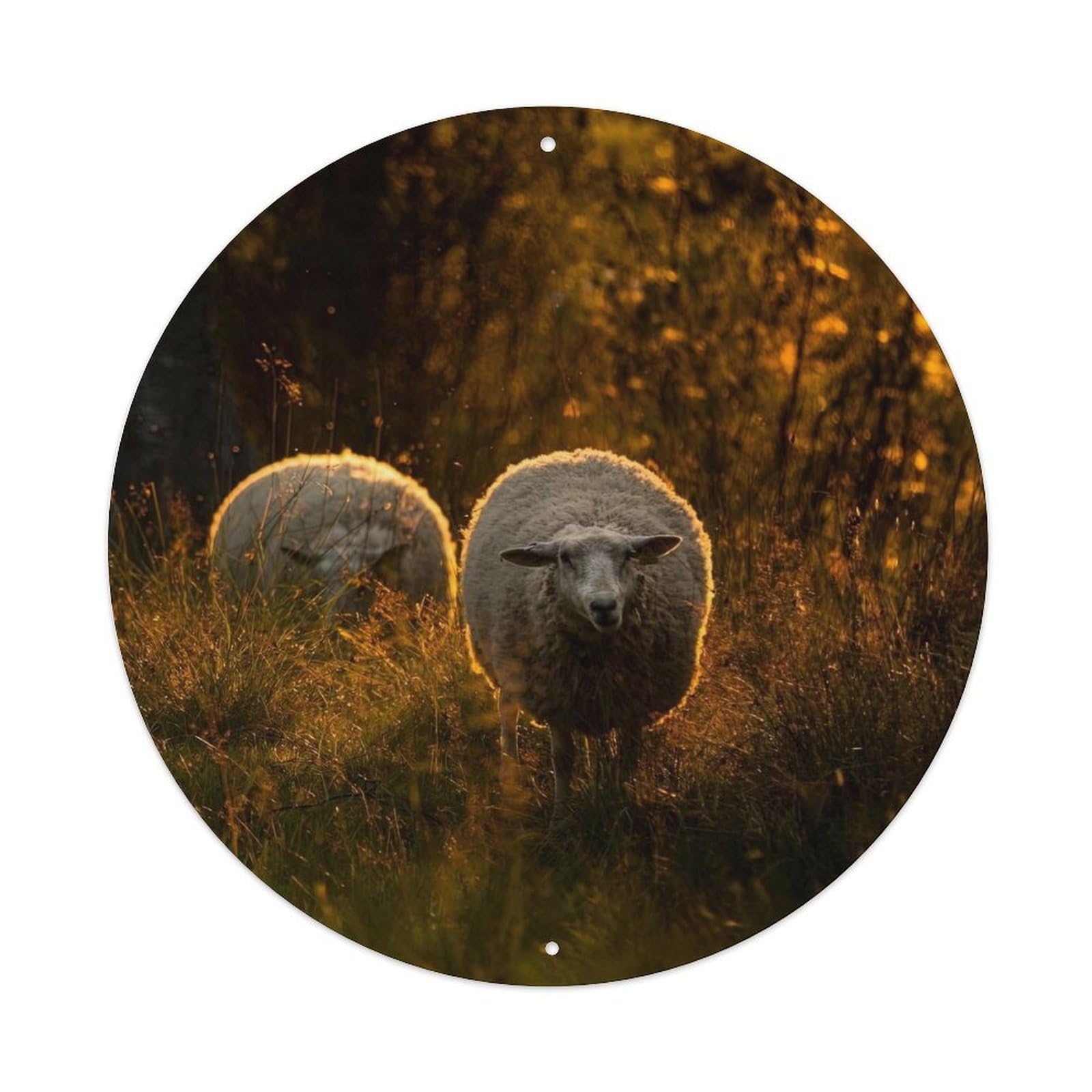 Animal Two Sheep Vintage Metal Tin Sign Plaque Wall Decor for Cafe, Club Bar, Office, Garden Metal Poster 8x8Inch