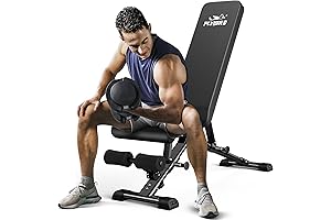 FLYBIRD Weight Bench: Your Home Fitness Revolution
