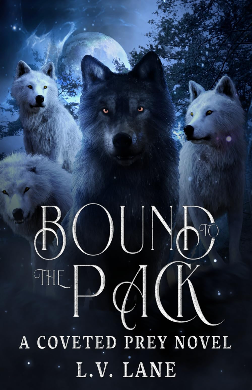 Bound to the Pack: A Dark Protectors Fantasy Romance: 6 (Coveted Prey)