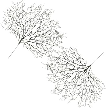2Pcs Artificial Coral Branches for Aquarium, Realistic PVC Iron Decor