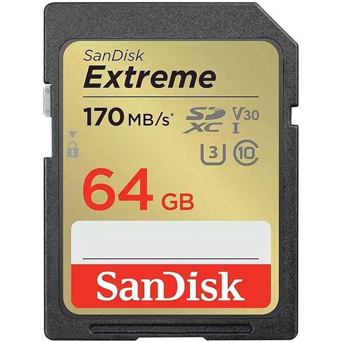 SanDisk Extreme SD UHS 64GB Card for 4K Video for DS