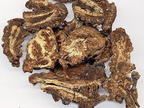 TCM Herbs USA 升麻 Sheng Ma / Rhizoma Cimicifugae / Cimicifuga / Bugbane Rhizome / Black Cohosh Rhizome Slice (16 oz)