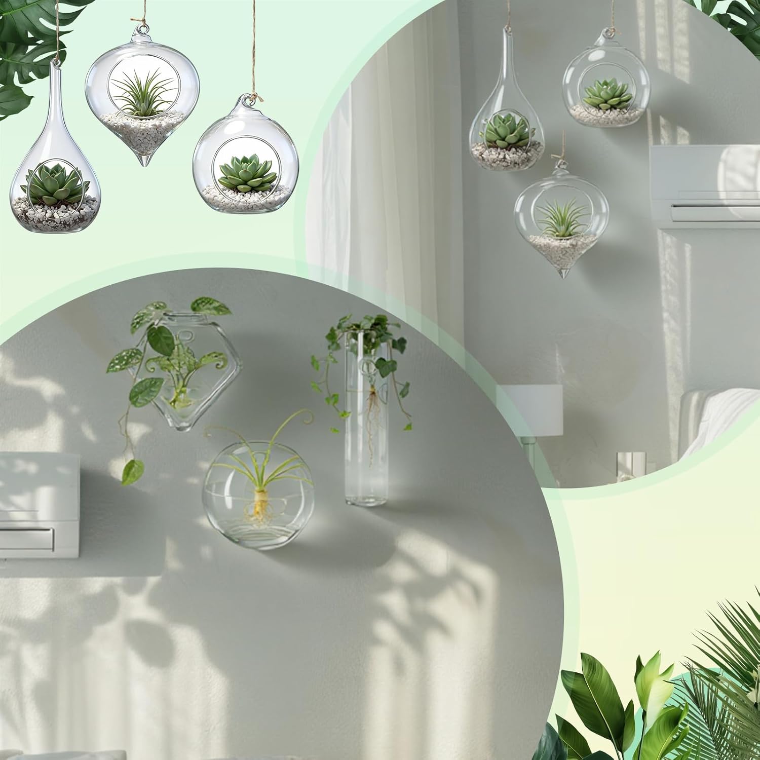Zopeal 3 Pack Glass Hanging Planter Air Fern Holder Terrarium Plants Hanger Vase and 3 Pcs Wall Planter Propagation Stations Glass Flower Vase for Plant Lovers Gifts Home Christmas Hydroponic Plants