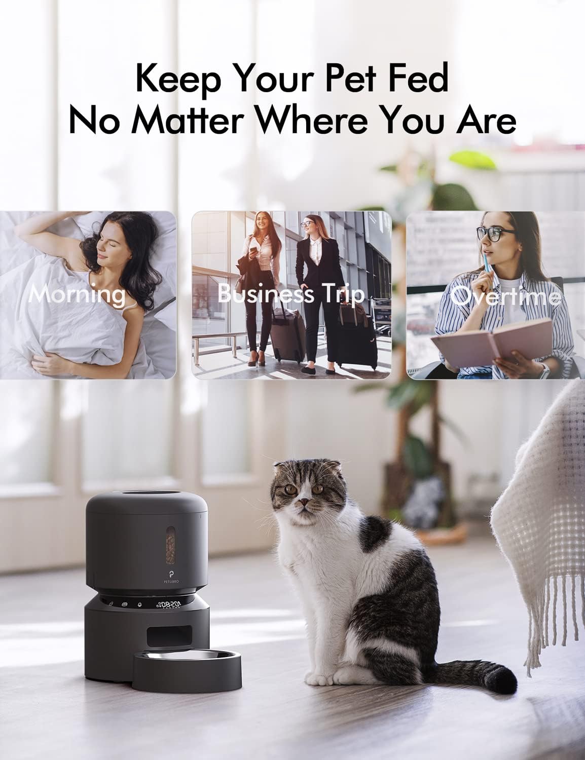 PETLIBRO Automatic Cat Feeder, Pet Dry Food Dispenser Triple Preservation with Stainless Steel Bowl & Twist Lock Lid, Up to 50 Portions 6 Meals Per Day, Granary for Small/Medium Pets : Pet Supplies