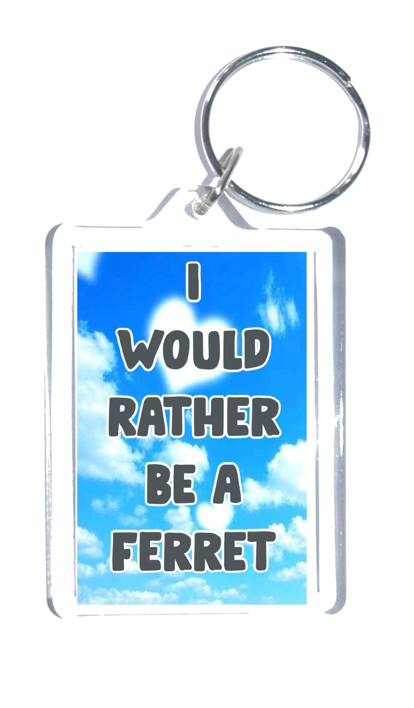 Fun Ferret Gift - I Would Rather Be A Ferret - Novelty Keyring