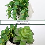 Oairse Artificial Succulents in Ceramic Pots, Realistic Faux Plants, Indoor, White and Green, 1 Inch