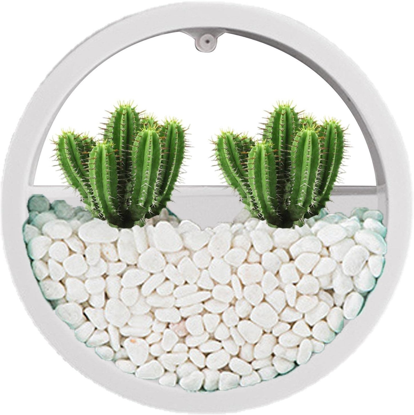 Uwariloy Wall Hanging Planter, Wall Mounted Flower Pots, Round Flower Pot Indoor