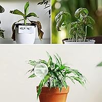 Vista 3 de AOPANDA Globos de riego para plantas, inserto de maceta de riego automático, bombillas de riego automático de plástico, gran capacidad, para plantas