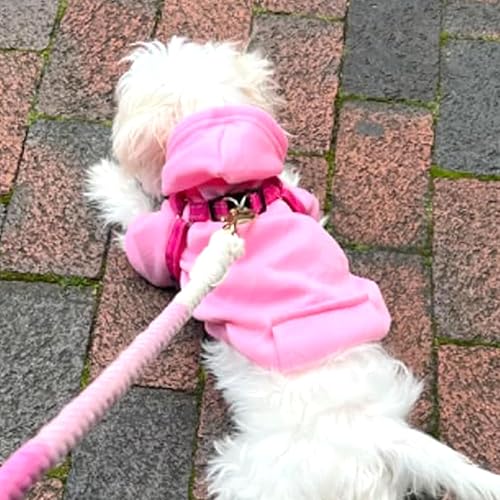 Miniatura 79 de Jecikelon - Sudadera con capucha y bolsillos, cálida para invierno, para perros pequeños, ropa de abrigo para chihuahuas, disfraz para cachorros
