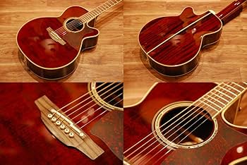 Amazon | 【コンタクトPU増設済】Takamine タカミネ DMP551C WR