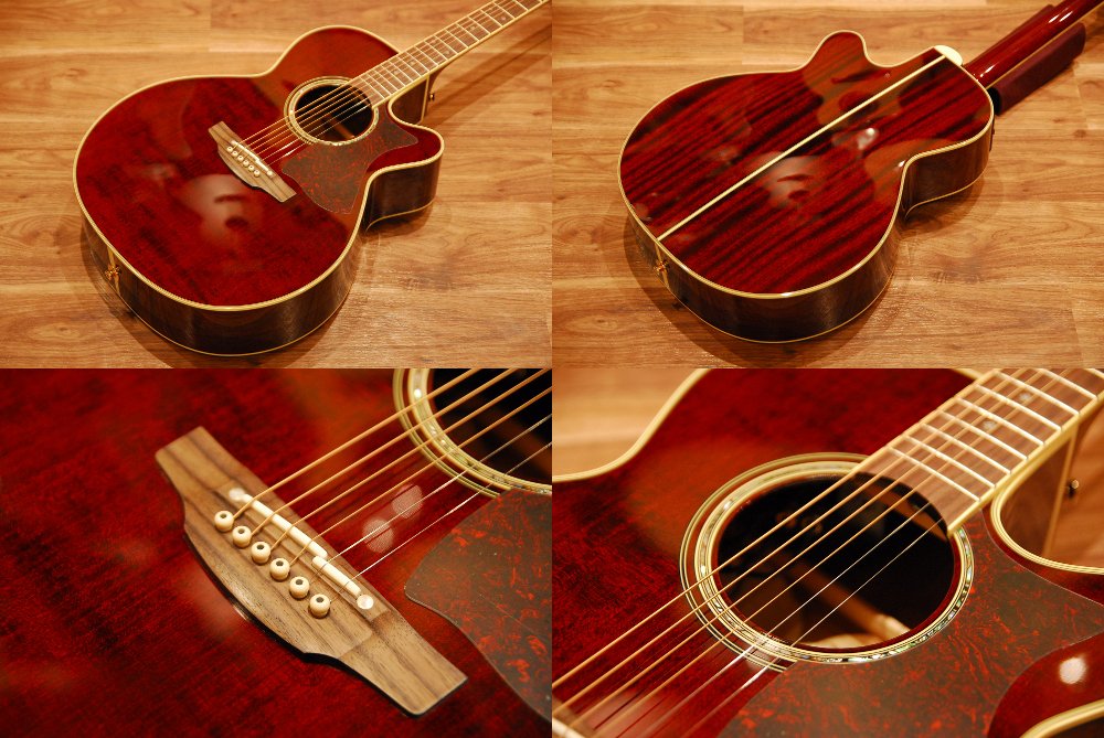 Amazon | 【コンタクトPU増設済】Takamine タカミネ DMP551C WR