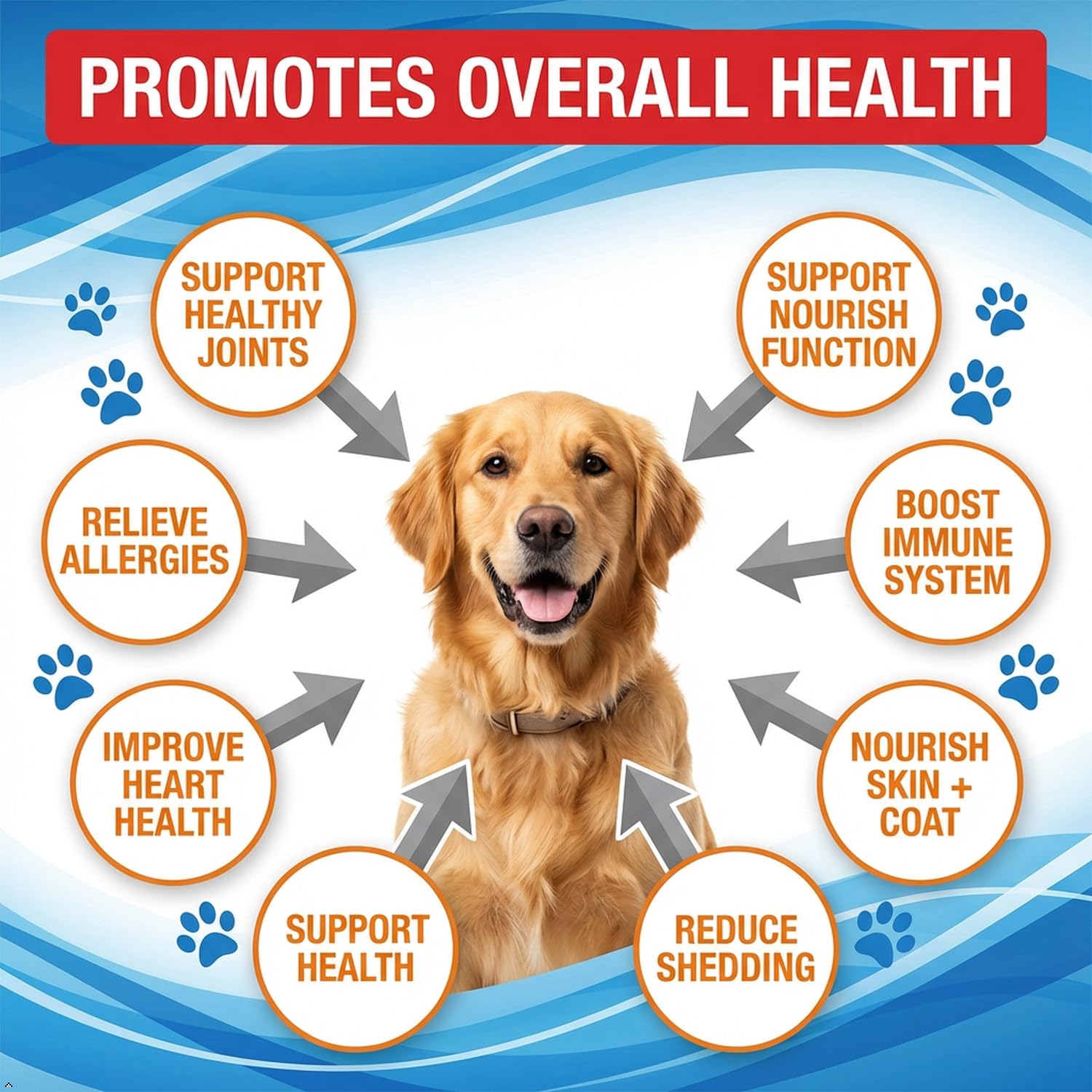 Wild-Caught Salmon Oil for Dogs & Cats - Omega 3 EPA DHA,Fish Oil Liquid Supplement for Skin & Coat Health (64 FLOZ Fish Oil) — Amazon image 3