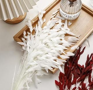 Dried River Oats, Dried Chasmanthium latifolium, Northern Sea Oats，for Wedding, Home Decor, 20 Pieces